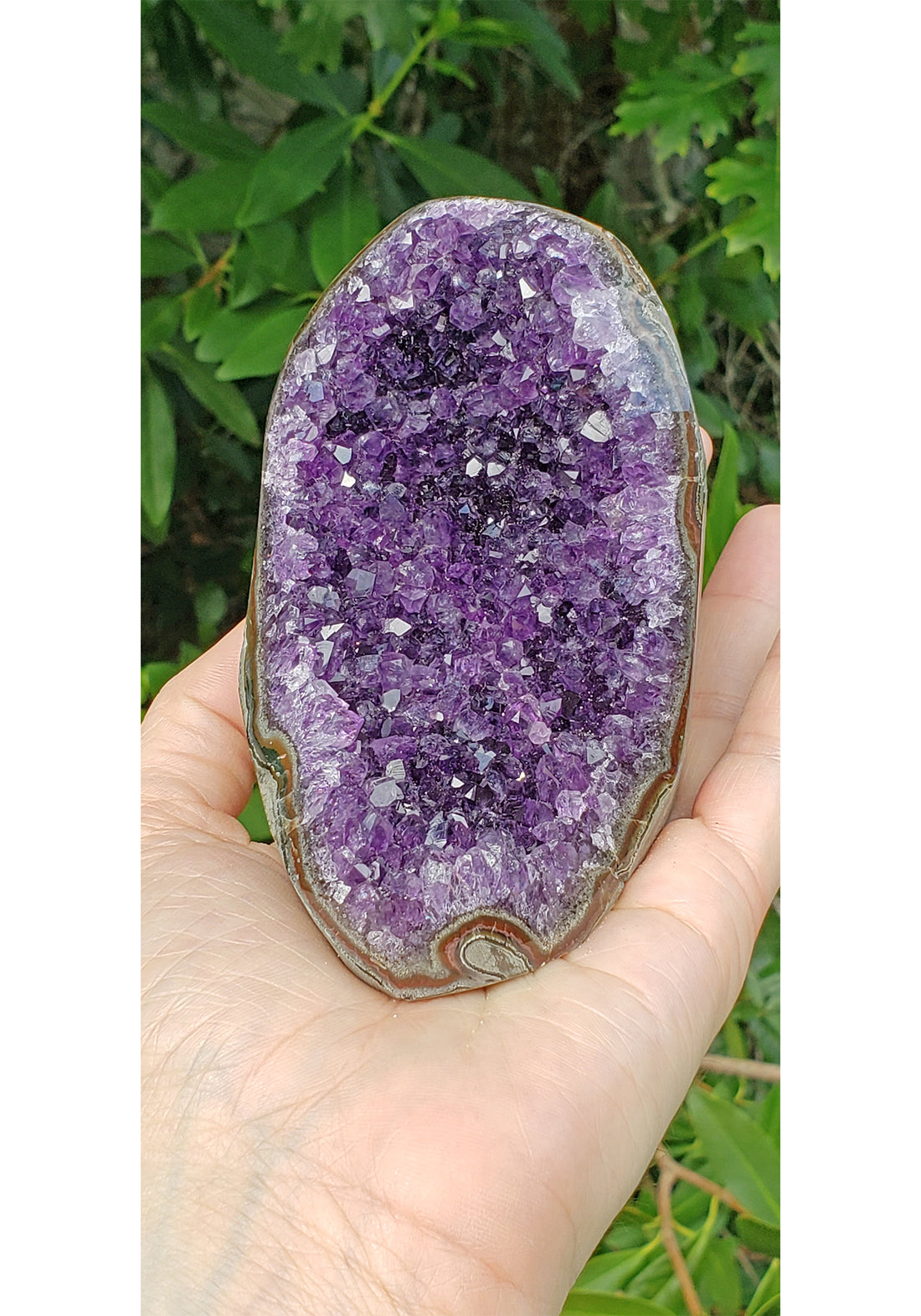 Amethyst Cluster Cathedral - Multiple Sizes! 3