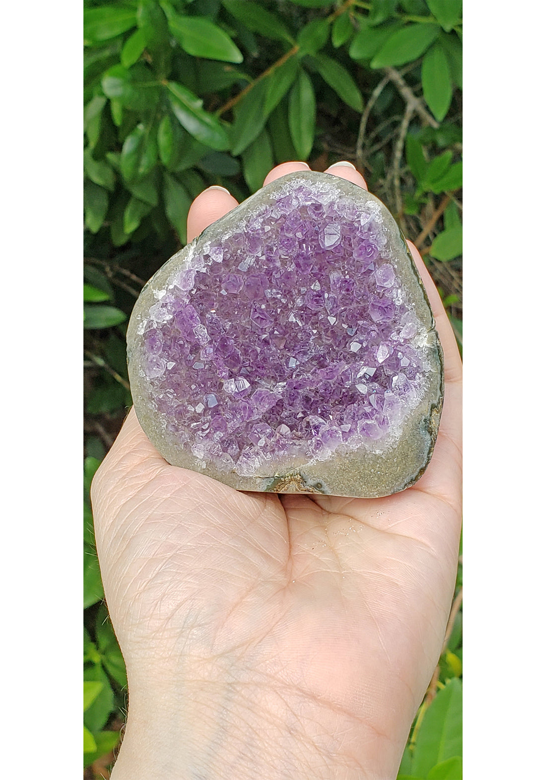 Amethyst Cluster Cathedral - Multiple Sizes! 5