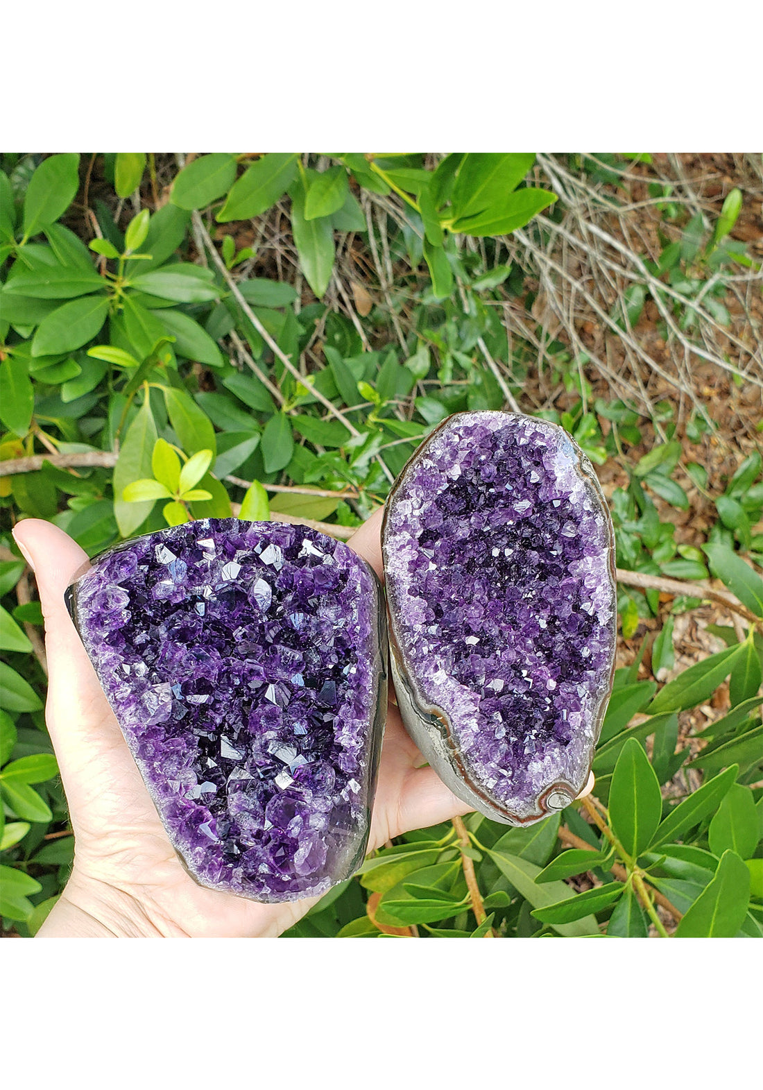 Amethyst Cluster Cathedral - Multiple Sizes! 7