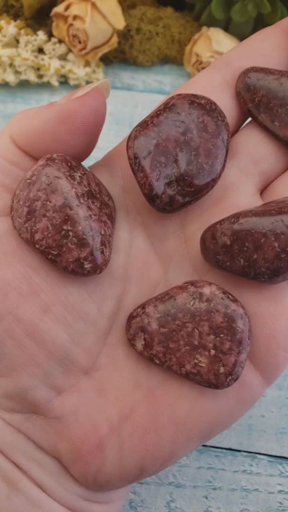 Wine Red Jasper Tumbled Gemstone - One Stone or Bulk Wholesale Lots - Video