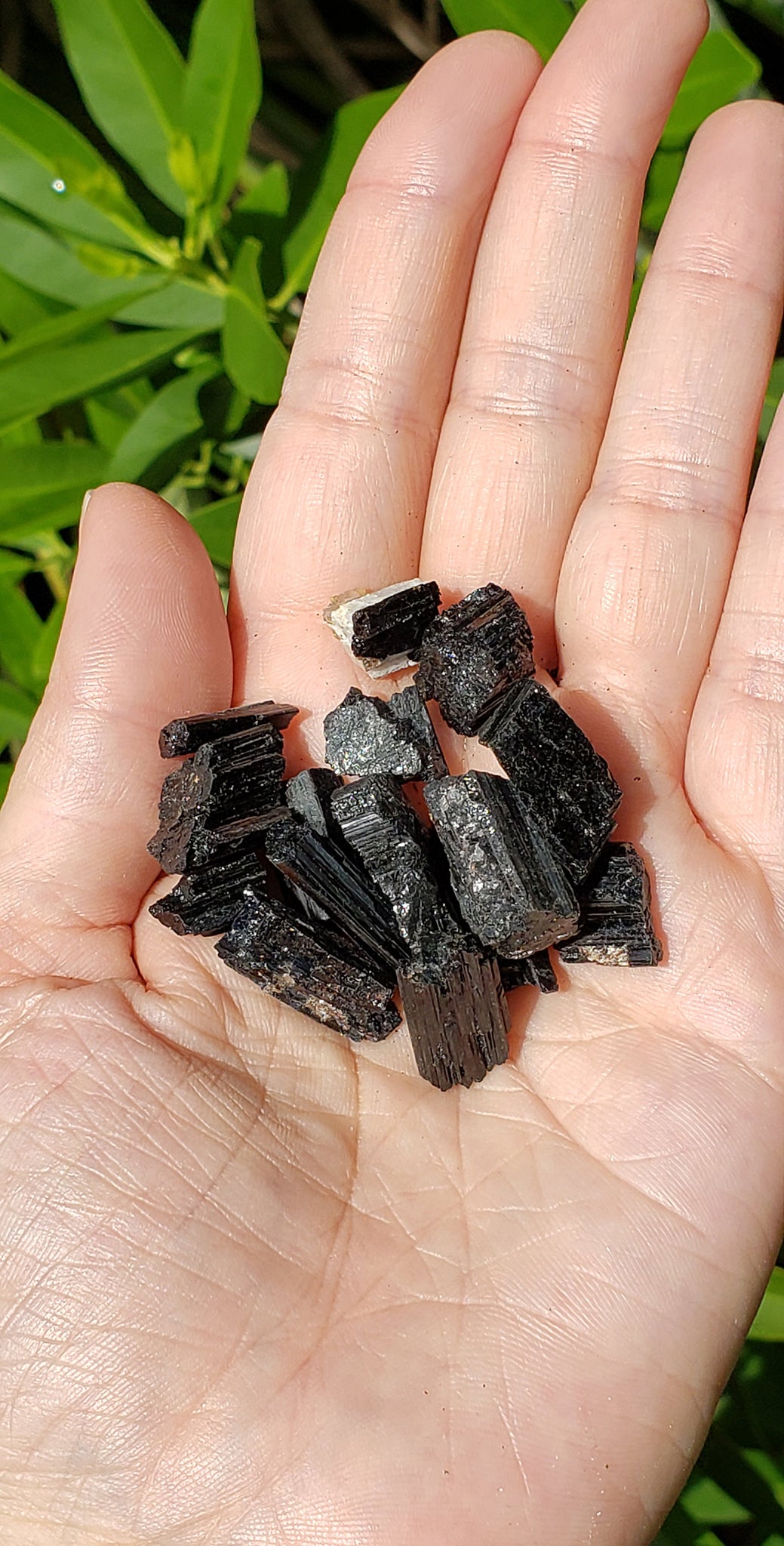 Black Tourmaline Natural Rough Raw Stones by the Bag