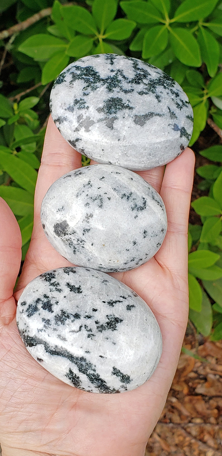 Black Tourmaline in Quartz Natural Gemstone Palm Meditation Stone