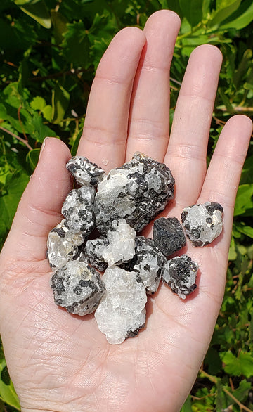 Black Tourmaline in Quartz Natural Raw Rough Gemstone - 3 Stone Mini