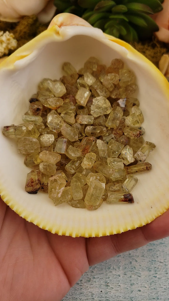 Gold Yellow Apatite Raw MINI Gemstone - One Stone or Bulk Wholesale Lots - Raw Crystals