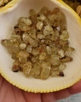 Golden Yellow Apatite Crystal Natural Raw Gemstone | MICRO | One Stone - 4