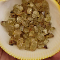 Gold Yellow Apatite Raw MINI Gemstone - One Stone or Bulk Wholesale Lots - Raw Crystals