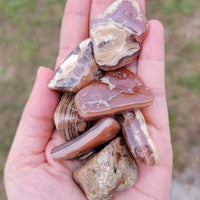 Chocolate Rhodocrosite Polished Tumbled Gemstone - XL