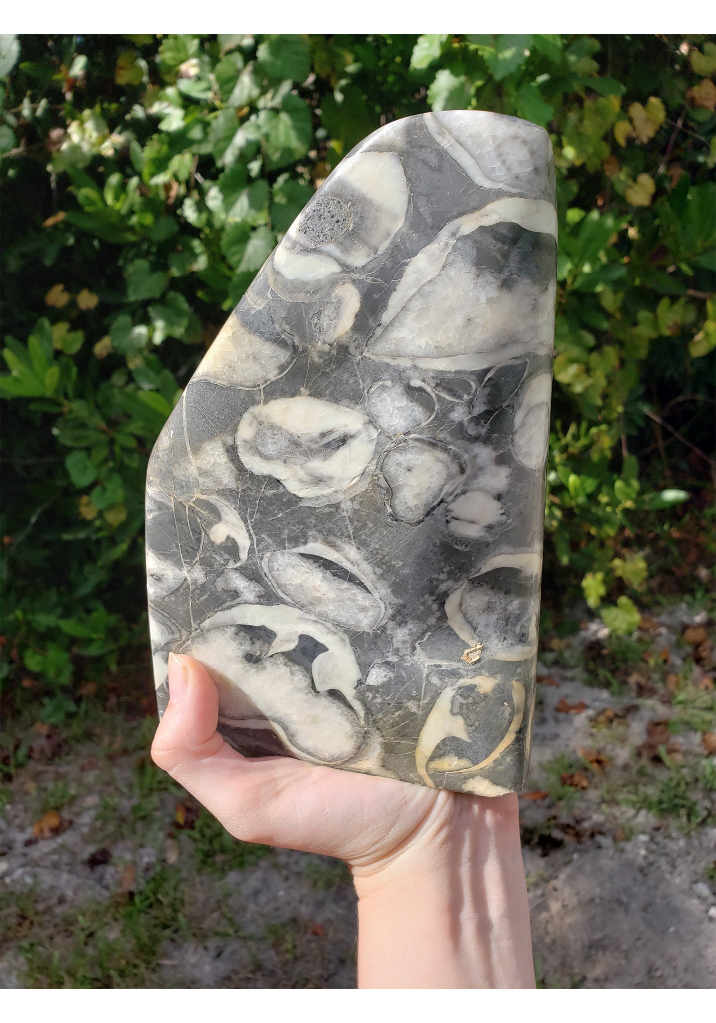 Clam Shell Jasper Gemstone Freeform Tower Monolith Individual Bookend Crystal Gemstone Shop