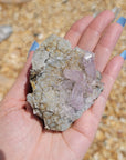Unique Vera Cruz Amethyst Crystal Cluster Natural Gemstone Formation | Odin