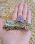 Vera Cruz Amethyst Natural Gemstone Cluster
