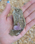 Vera Cruz Amethyst Natural Gemstone