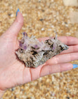 Vera Cruz Amethyst Natural Gemstone Cluster