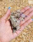 Vera Cruz Amethyst Natural Gemstone