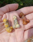 Crazy Lace Agate Polished Gemstone Phallus - Multiple Sizes! 2