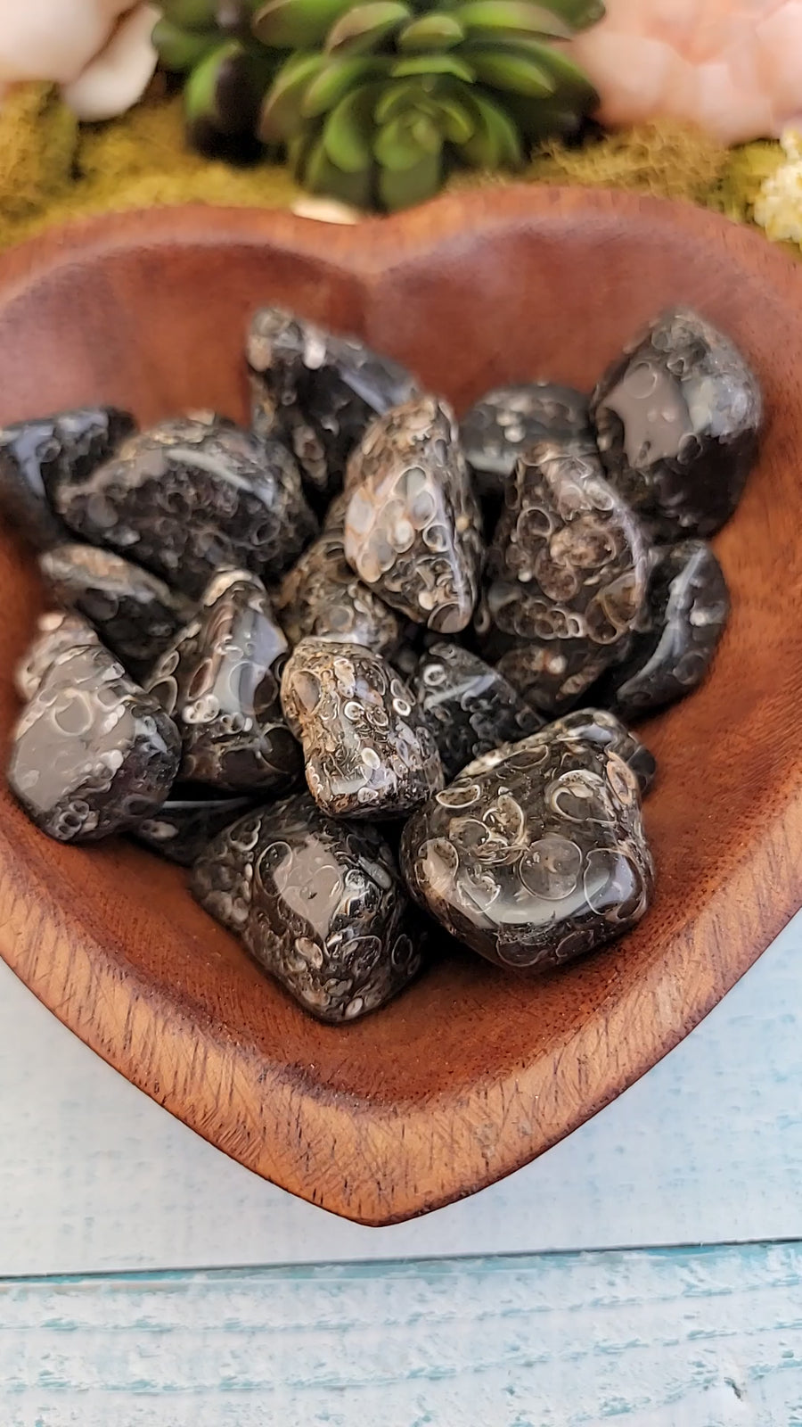 video of tumbled turitella agate crystal pieces held in hand, showing off various sides 