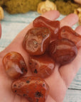 Carnelian Polished Tumbled Gemstone - One Stone or Bulk Wholesale Lots - Video