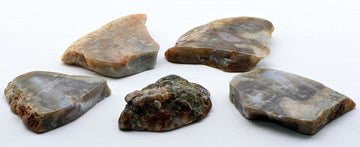 Coprolite Fossil Gemstone Dinosaur Dung Poop | Crystal Gemstone Shop.
