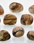 Picture Jasper Tumbled Gemstone | Crystal Gemstone Shop.