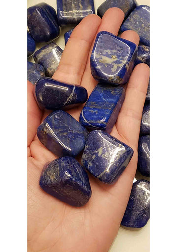 Lapis Lazuli Polished Tumbled Gemstone - Stone of Success - Multiple Sizes! 4