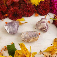 Lepidolite Medium - Pink Lithium Mica Gemstone Cleavage Slice - Single Stone or Bulk Wholesale Lots