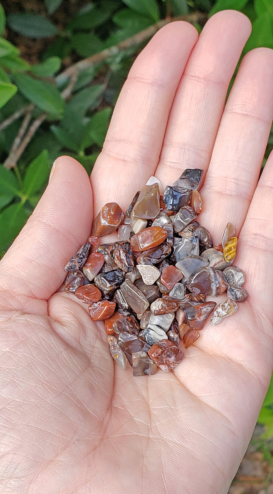 Petrified Wood Gemstone Chips - 1 Ounce Bag