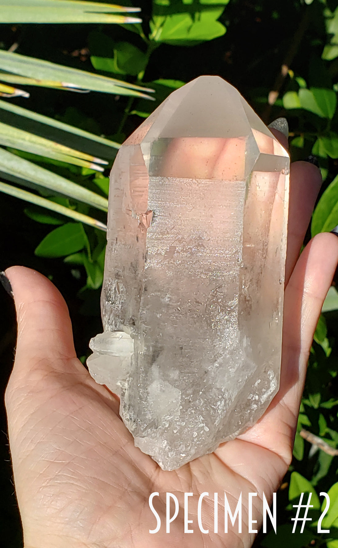 Phantom Included Quartz Natural Gemstone Point | Crystal Gemstone Shop.