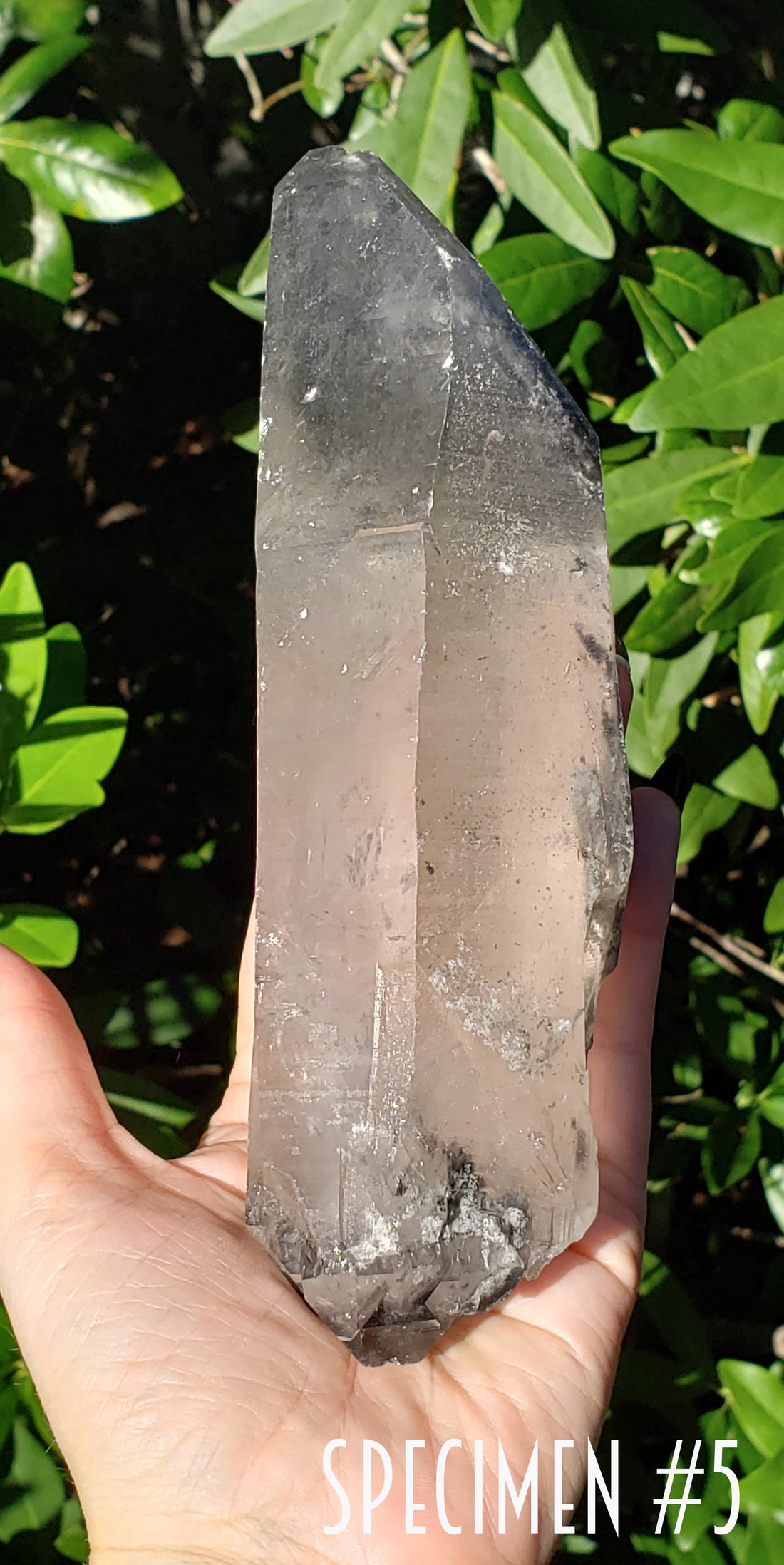 Phantom Included Quartz Natural Gemstone Point | Crystal Gemstone Shop.