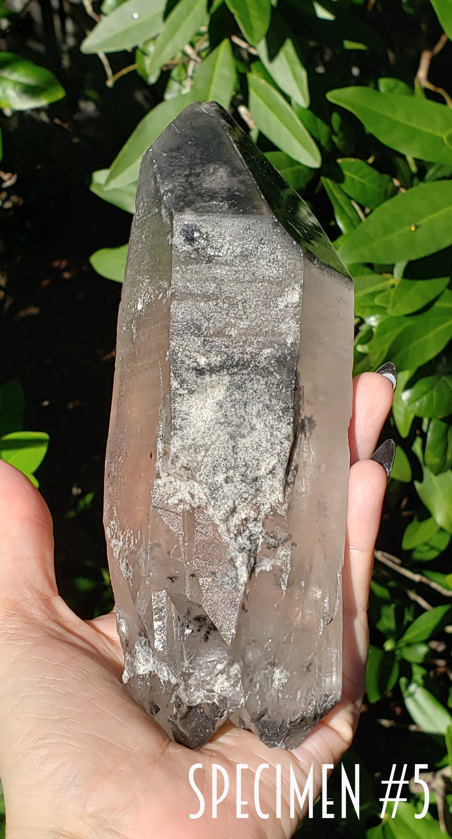 Phantom Included Quartz Natural Gemstone Point | Crystal Gemstone Shop.