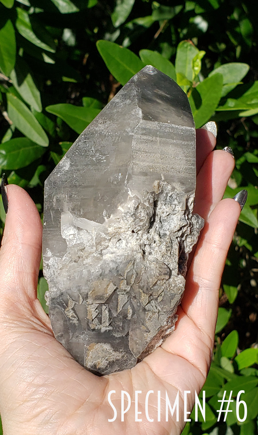 Phantom Included Quartz Natural Gemstone Point | Crystal Gemstone Shop.