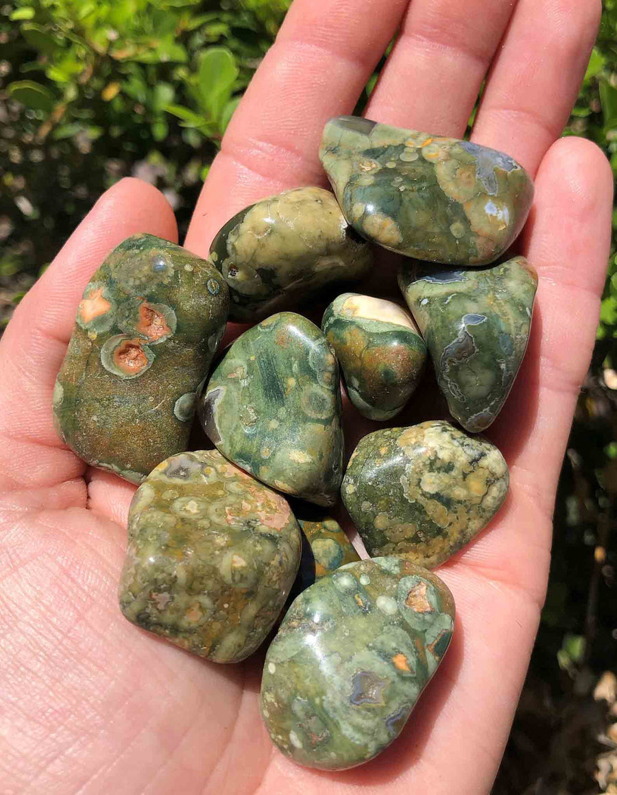 Green Rhyolite Polished Tumbled Gemstone