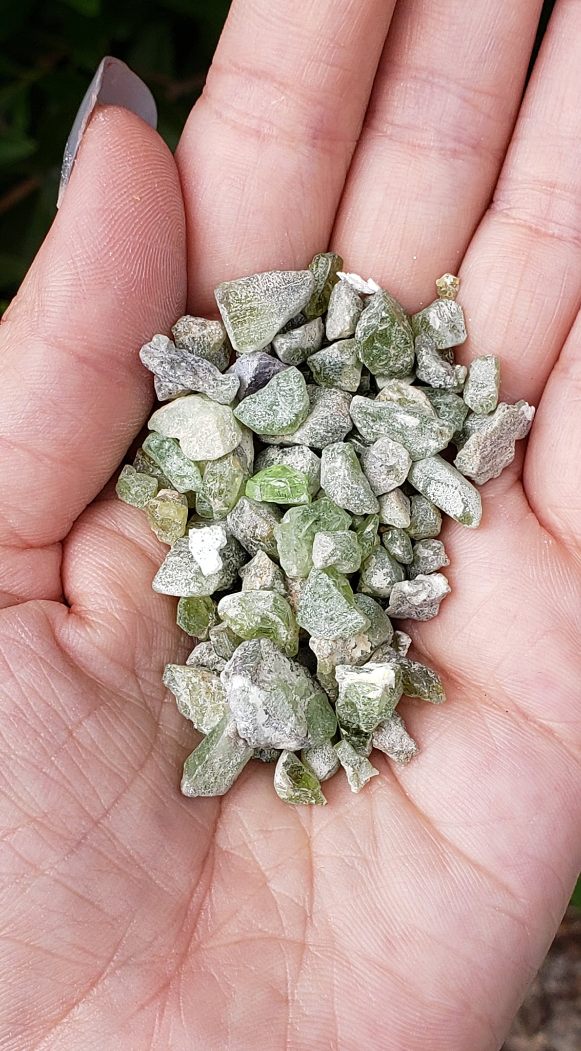 Peridot Rough Natural Gemstone by the OunceRAW Peridot Natural Rough Crystal Chips by the Ounce - 1