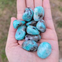 Amazonite Tumbled Polished GemstoneAmazonite Natural Tumbled Polished Gemstone - One Stone - Outdoors