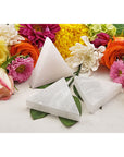 Selenite Triangle Charging & Cleansing Tile - Multiple Sizes 2