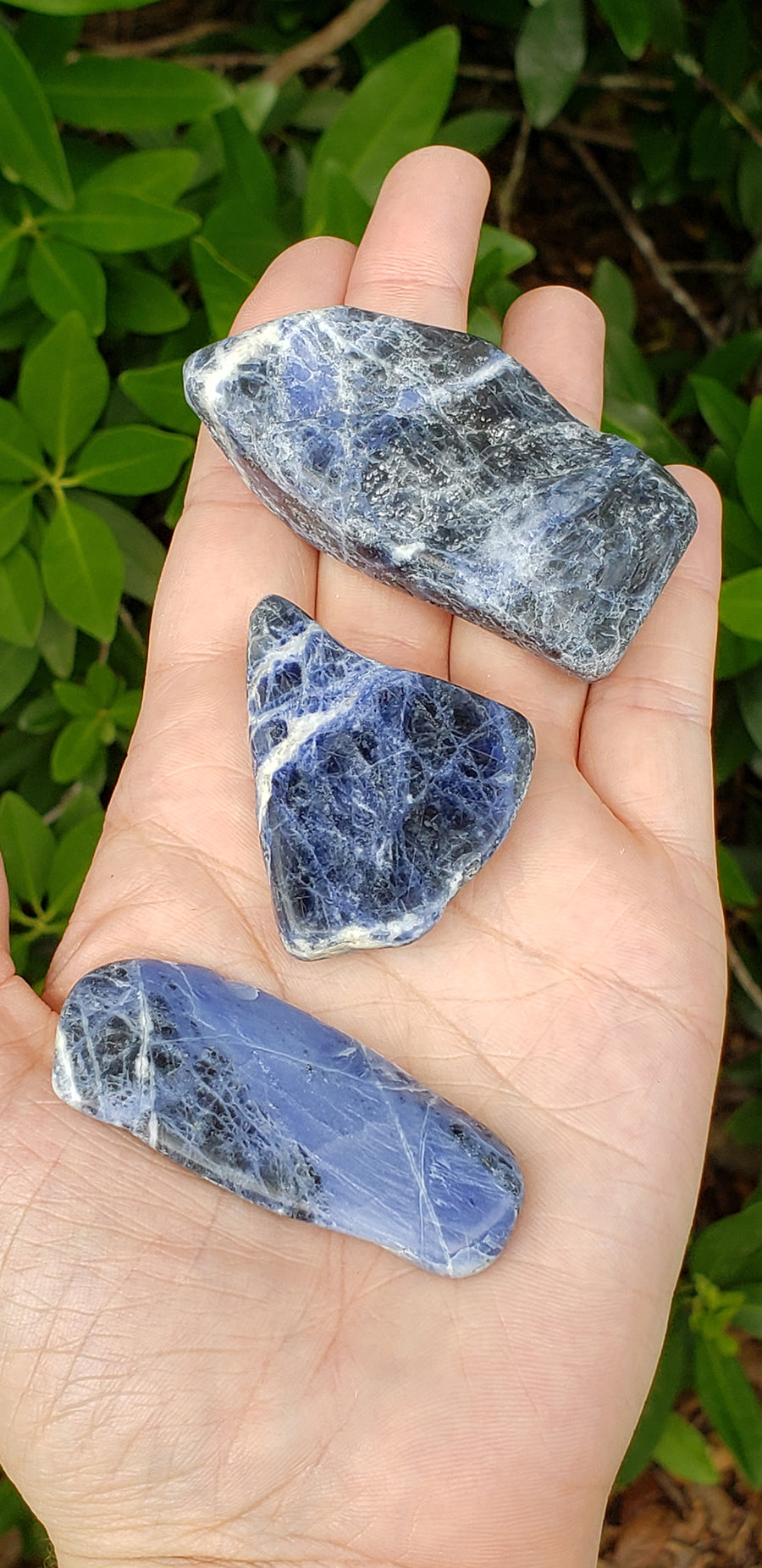 Sodalite Natural Gemstone Polished Slab - [ 1.5" - 2" ]