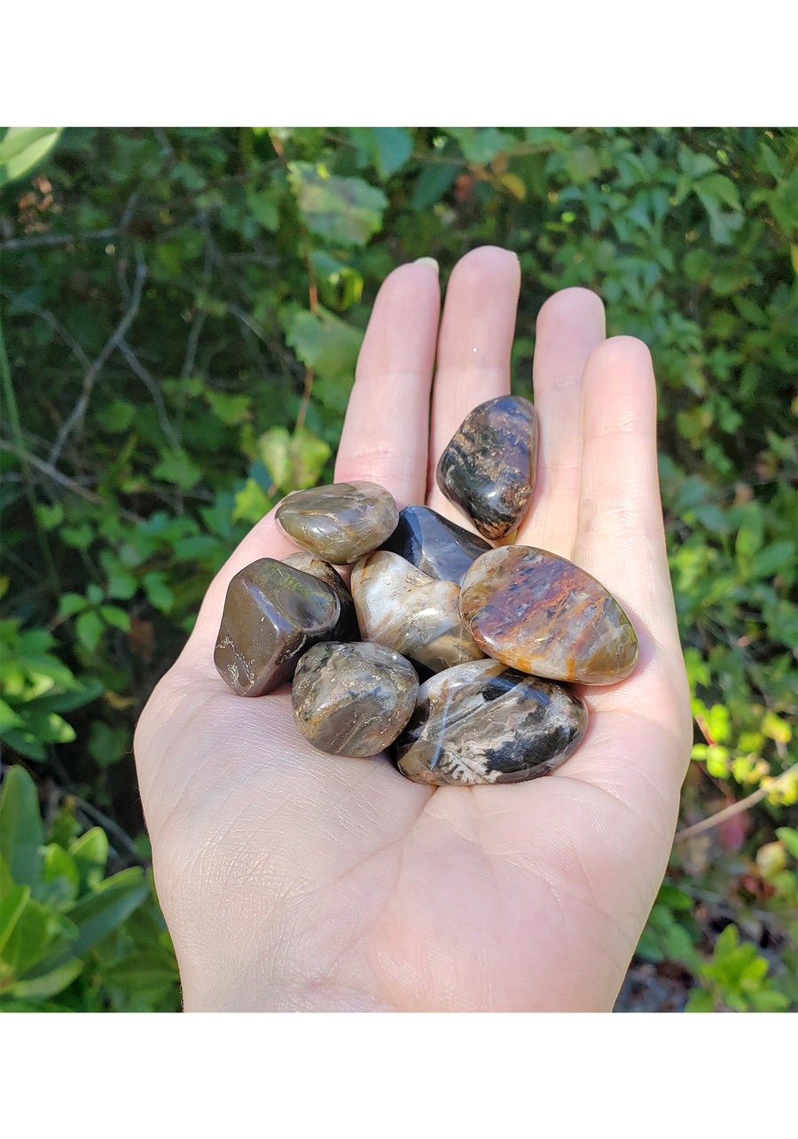 Black Spearite Jasper Tumbled Gemstone - Stone of Strong Boundaries 3