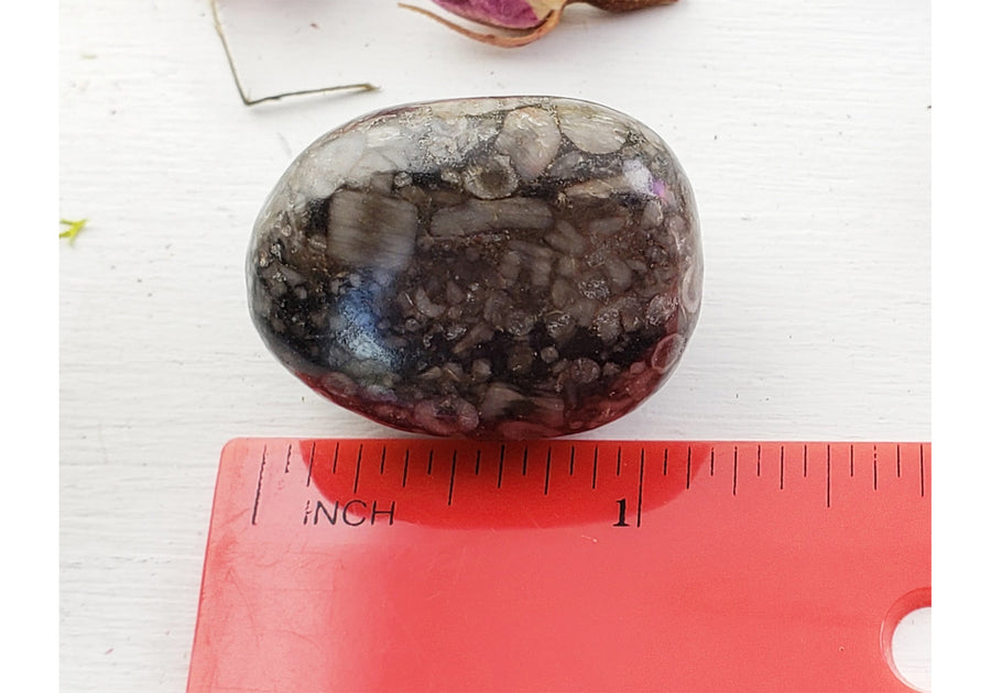 Fossil Stone Tumbled Polished Gemstone 3