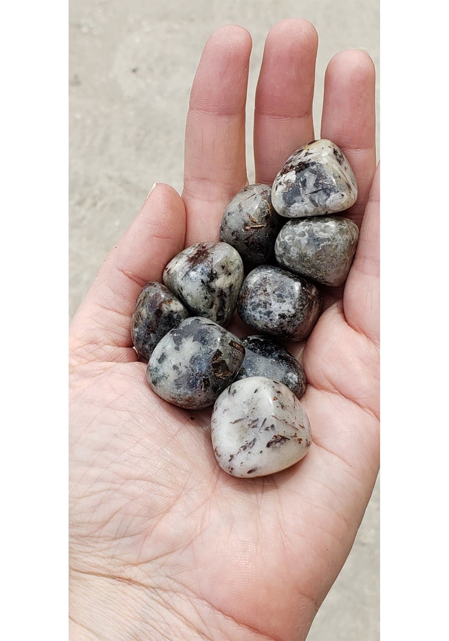 Astrophyllite Tumbled Gemstone - Unique Blend of Astrophyllite &amp; Quartz! 4