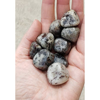 Astrophyllite Tumbled Gemstone - Unique Blend of Astrophyllite & Quartz! 4