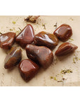 Petrified Red Wood Polished Tumbled Gemstone - Stone of Nature Spirits 2