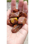Petrified Red Wood Polished Tumbled Gemstone - Stone of Nature Spirits 3
