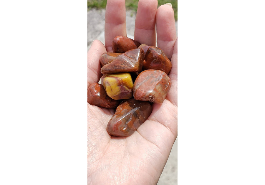 Petrified Red Wood Polished Tumbled Gemstone - Stone of Nature Spirits 3