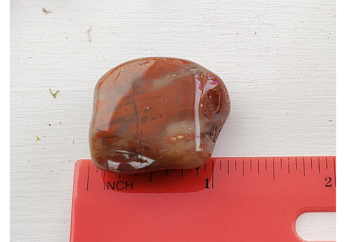 Petrified Red Wood Polished Tumbled Gemstone - Stone of Nature Spirits 4