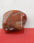 Petrified Red Wood Polished Tumbled Gemstone - Stone of Nature Spirits 4