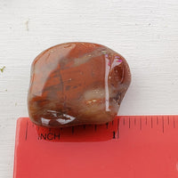Petrified Red Wood Polished Tumbled Gemstone - Stone of Nature Spirits 4