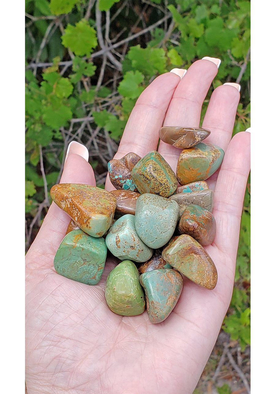 Natural Turquoise Tumbled Gemstone - One Stone or Bulk Wholesale Lot - Outdoors in Sunlight