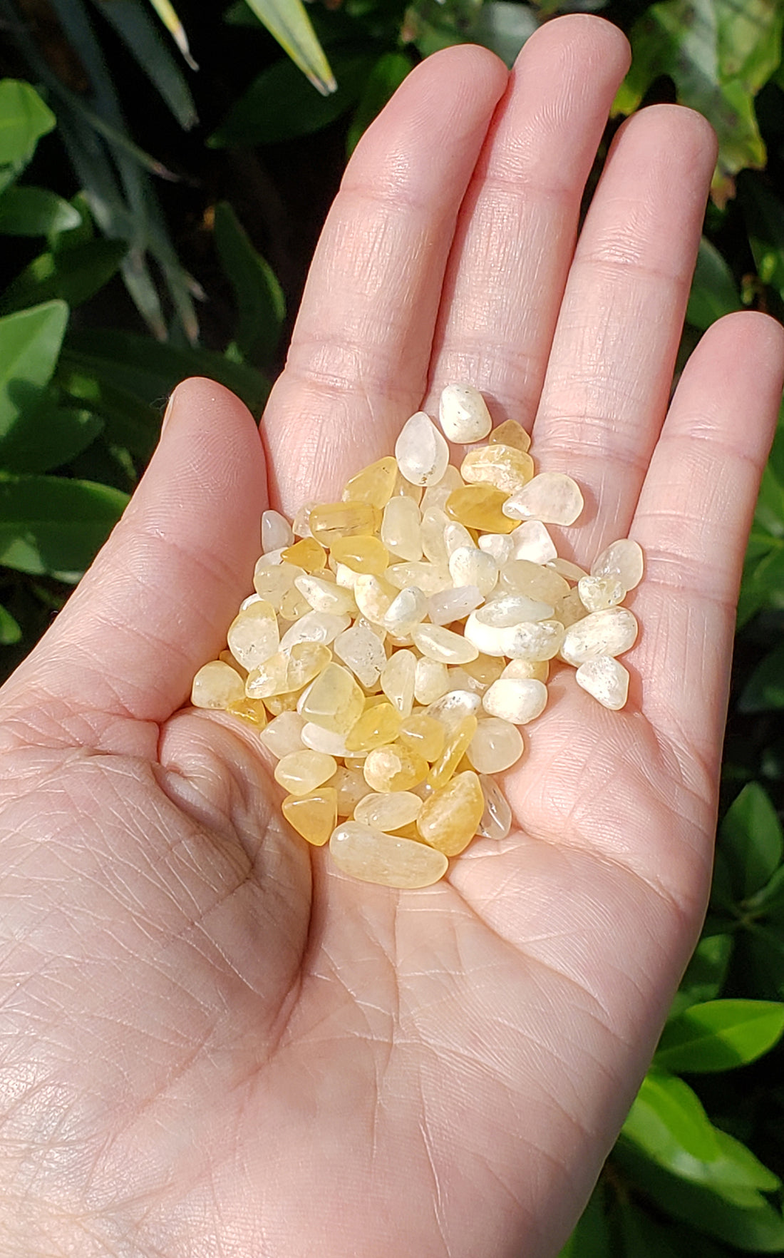 Yellow Calcite Gemstone Chips - 1 Ounce Bag